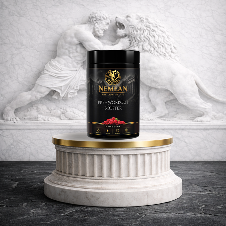 Pre-Workout Booster – 520 g