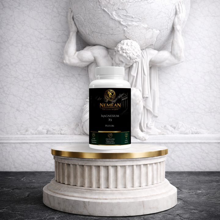 Magnesium 5x Komplex + B6 - 120 vegane Kapseln